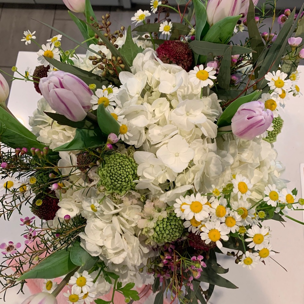 Meet your Posher, Taylor